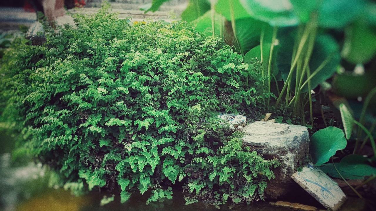 Villa Margherita Residence ฟาวีญานา ภายนอก รูปภาพ